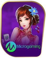 Micro Gaming Slot